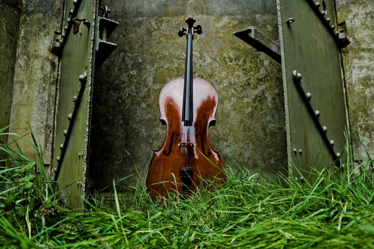 Natuur en muziek tijdens Kamermuziekfestival bij Natuurmonumenten